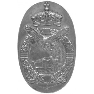 medal autorstwa St. Popławskiego wybity na pamiątkę Akc...