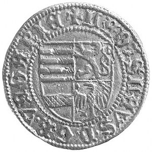 Ładysław V 1453-1457, goldgulden bez daty (1457), Herma...