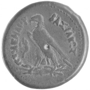 Egipt- Ptolemeusz III Euergetes 246- 221 pne, duży brąz...