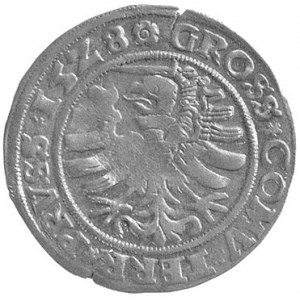 grosz 1528, Toruń, Kurp. 260 R, Gum. 525, T. 2, rzadki,...