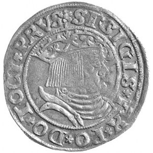 grosz 1531, Toruń, Aw: SISIGIS IX PO DO TOCI PRVS, Rw: ...