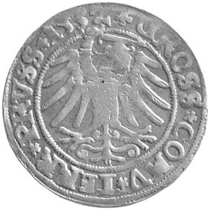 grosz 1532, Toruń, ciekawa i nieopisana w katalogu Kurp...