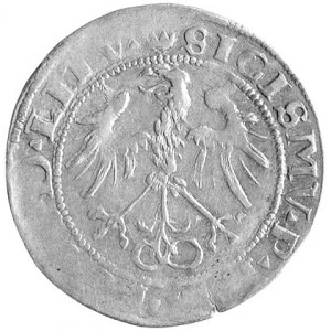 grosz 1536, Wilno, odmiana z literą F pod Pogonią, Kurp...