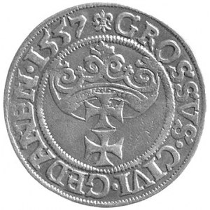 grosz 1557, Gdańsk, popiersie króla ze szpiczastą brodą...