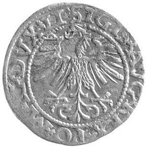 półgrosz 1562, Wilno, odmiana z odwróconym herbem Topór...