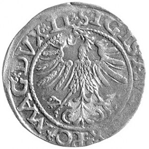 półgrosz 1562, Wilno, odmiana z herbem Topór pod Pogoni...