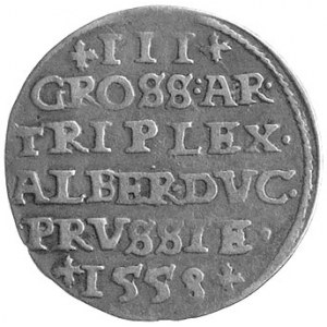 trojak 1558, Królewiec, Neumann 44, Bahr. 1218