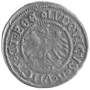 półgrosz 1518, Świdnica, Fbg. 364, jak na ten typ monet...