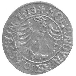 grosz 1518, Złoty Stok, Fbg. 756a, rzadki i ładnie zach...