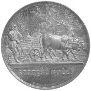Towarzystwo Gospodarcze- medal autorstwa C. Radnitzky’e...