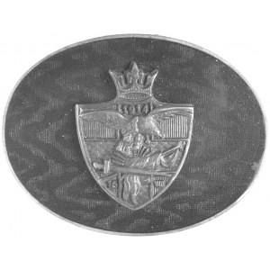 odznaka pamiątkowa \Alegoria Polski\ w kształcie tarcz...