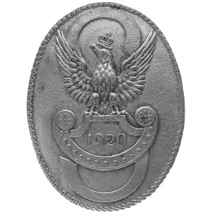 żołnierska odznaka pamiątkowa Strzelca 1920 rok, mosiąd...