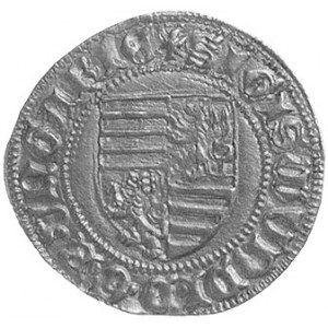 goldgulden, Nagybanya (1404- 1405), Nagybanya, Aw: Tarc...