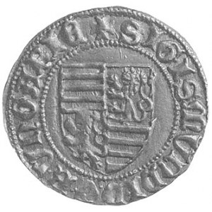goldgulden (1404- 1405), Offenbanya, Aw: Tarcza herbowa...