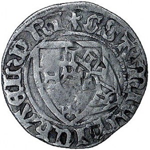 Michał Kuchmeister von Sternberg 1414-1422, szeląg, Aw:...