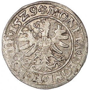 grosz 1529, Kraków, Kurp. 49 R, Gum. 484