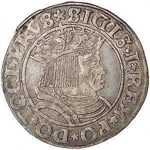grosz 1531, Toruń, Kurp. 209 R, Gum. 527, patyna, monet...