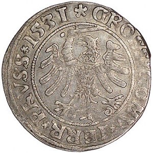 grosz 1531, Toruń, Kurp. 209 R, Gum. 527, patyna, monet...