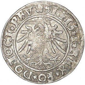 grosz 1534, Elbląg, Kurp. 591 R, Gum. 582