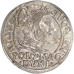 grosz na stopę polską 1548, Wilno, Kurp. 764 R, Gum. 61...