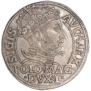 grosz na stopę polską 1548, Wilno, Kurp. 764 R, Gum. 61...