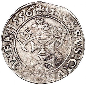 grosz 1556, Gdańsk, Kurp. 945 R3, Gum. 642, T. 4, monet...