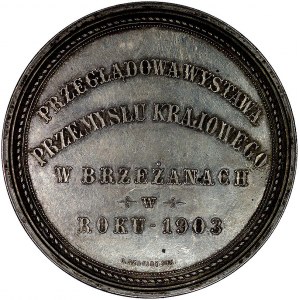 Wystawa w Brzeżanach- medal 1903 r., Aw: Napis półkolis...