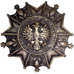 pamiątkowa odznaka żołnierska 10 pułku strzelców konnyc...