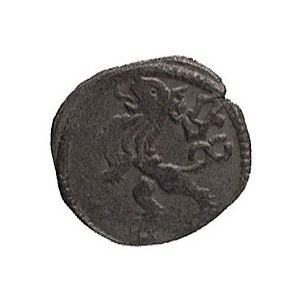 Hynek lub Wilhelm Krusina z Lichtenburka 1440-1454, hal...