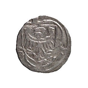 Ludwik II 1399-1436, halerz, Brzeg, Aw: Orzeł w tarczy,...