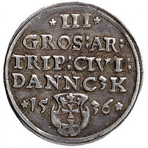 trojak 1536, Gdańsk, odmiana napisu PRVSSI, Kurp. 500 R...