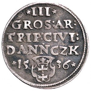 trojak 1536, Gdańsk, odmiana napisu PRVSS, Kurp. 498 R1...