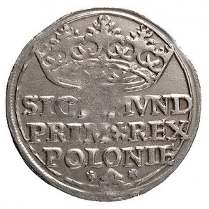 grosz 1528, Kraków, Kurp. 47 R, Gum. 483