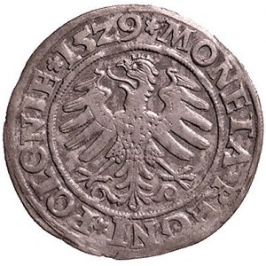 grosz 1529, Kraków, Kurp. 49 R, Gum. 484, drugi egzempl...