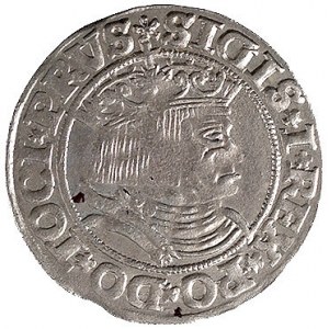 grosz 1531, Toruń, Kurp. 299 R, Gum. 527