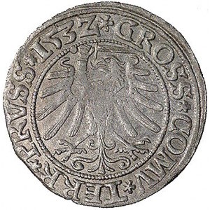 grosz 1532, Toruń, Kurp. 310 R, Gum. 528