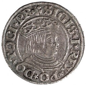 grosz 1532, Gdańsk, Kurp. 447 R, Gum. 559