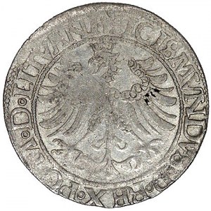 grosz 1535, Wilno, odmiana bez litery pod Pogonią, na a...
