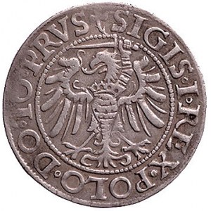 grosz 1539, Elbląg, Kurp. 603 R, Gum. 583