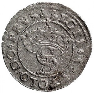 szeląg 1529, Toruń, Kurp. 242 R, Gum. 522
