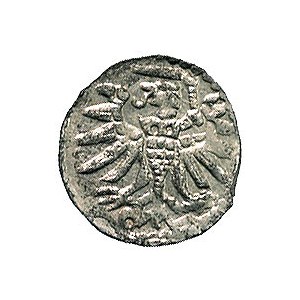 denar 1555, Elbląg, Kurp. 989 R3, Gum. 654, T 7, ładnie...