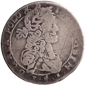 ort 1664, Wilno, odmiana z obwódkami po obu stronach, K...