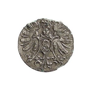 denar 1571, Królewiec, odmiana z rozetą pomiędzy dwoma ...