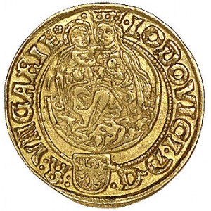 Ludwik II 1516-1526, goldgulden 1520, Hermannstadt, Aw:...