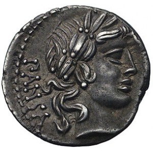 C. Vibius C.f. Pansa około 90 pne, denar, Aw: Głowa Apo...