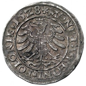 grosz 1528, Kraków, Kurp. 47 R, Gum. 483, patyna