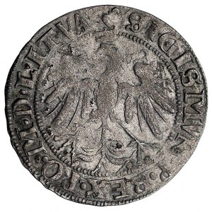 grosz 1536, Wilno, odmiana z literą I pod Pogonią, podo...