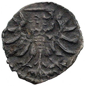 denar 1555, Gdańsk, Kurp. 926 R3, Gum. 640, T. 8, ciemn...