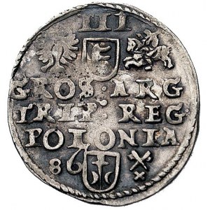 trojak 1586, Poznań, odmiana z rozetką pod popiersiem k...