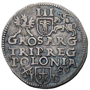 trojak 1589, Poznań, Wal. II 6, Kurp. 558 R1, patyna